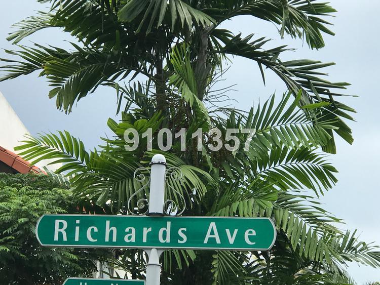 Richards Avenue (D19), Terrace #139980782